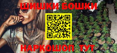 шишки Кинель